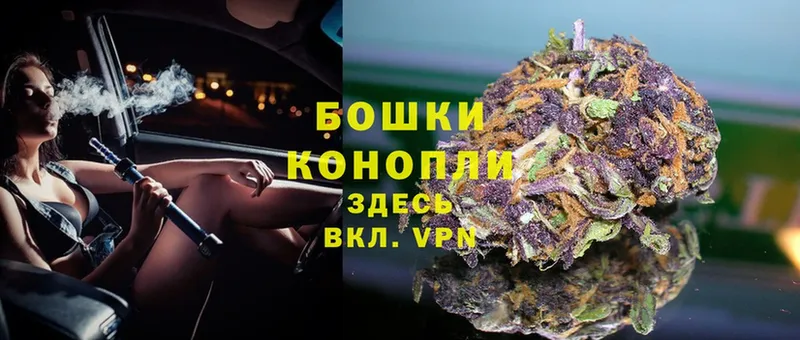 кракен tor  Кедровый  Каннабис OG Kush 